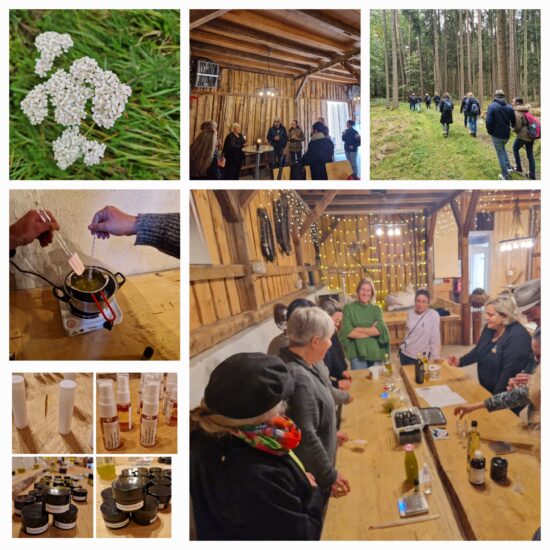 Kräuterwanderung und Salbenworkshop! WUNDERWERK NATUR!